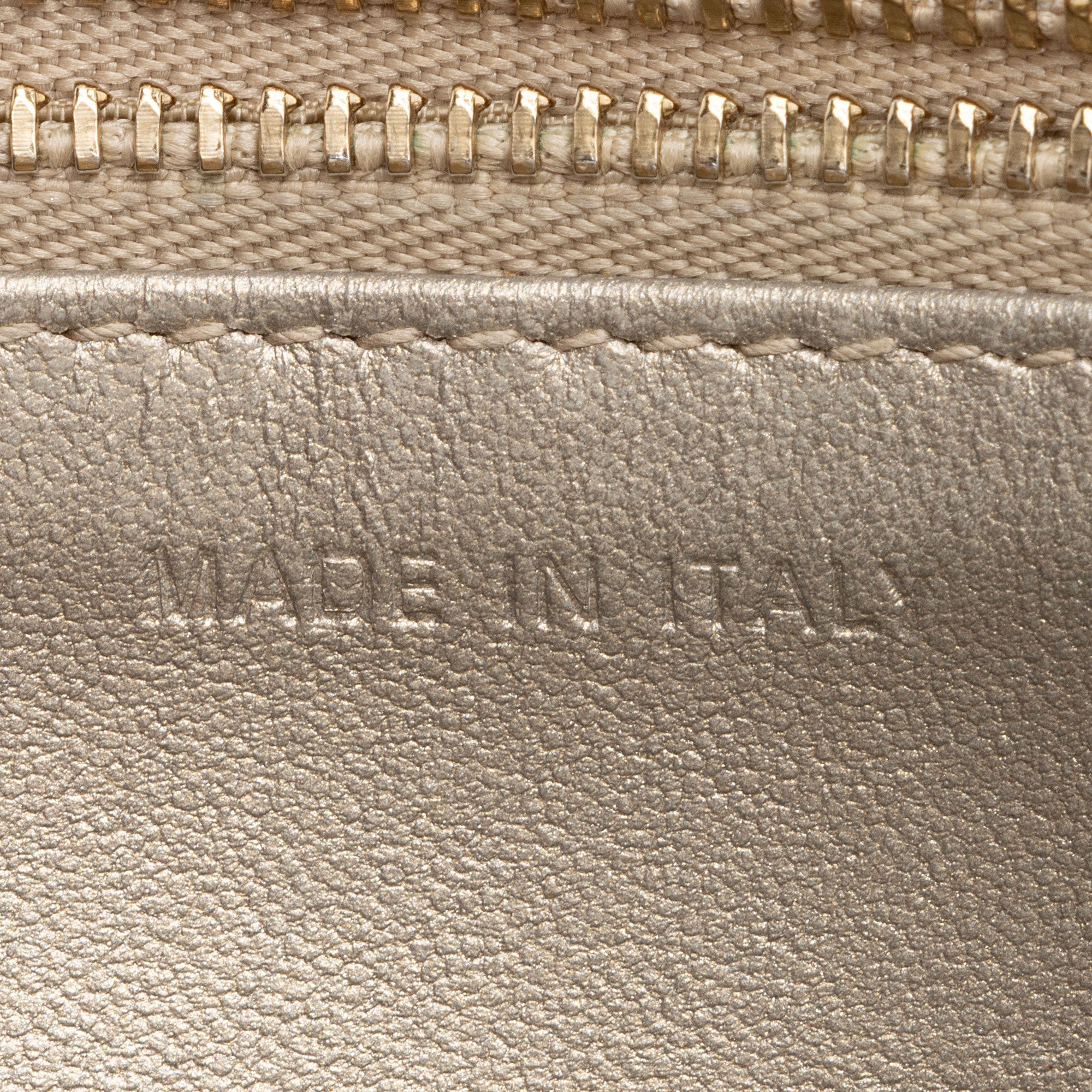 Dior Metallic Calfskin Diorama Wallet on Chain Bag (SHF-rpZnj7)