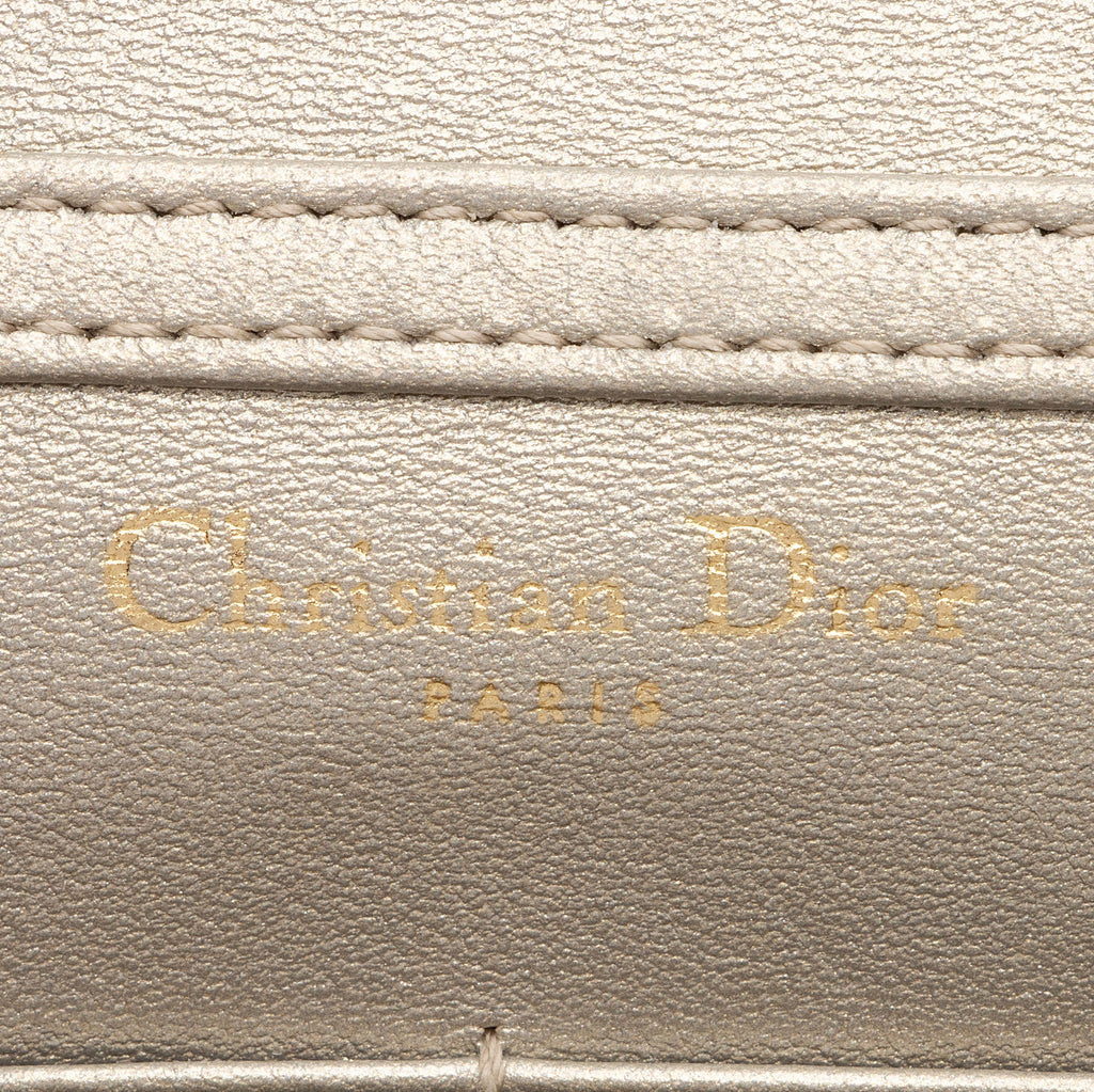 Dior Metallic Calfskin Diorama Wallet on Chain Bag (SHF-rpZnj7)