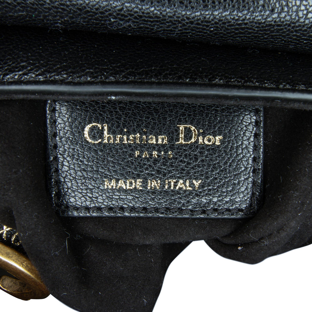 Dior Mini Saddle Baguette (SHG-hEwTgY)
