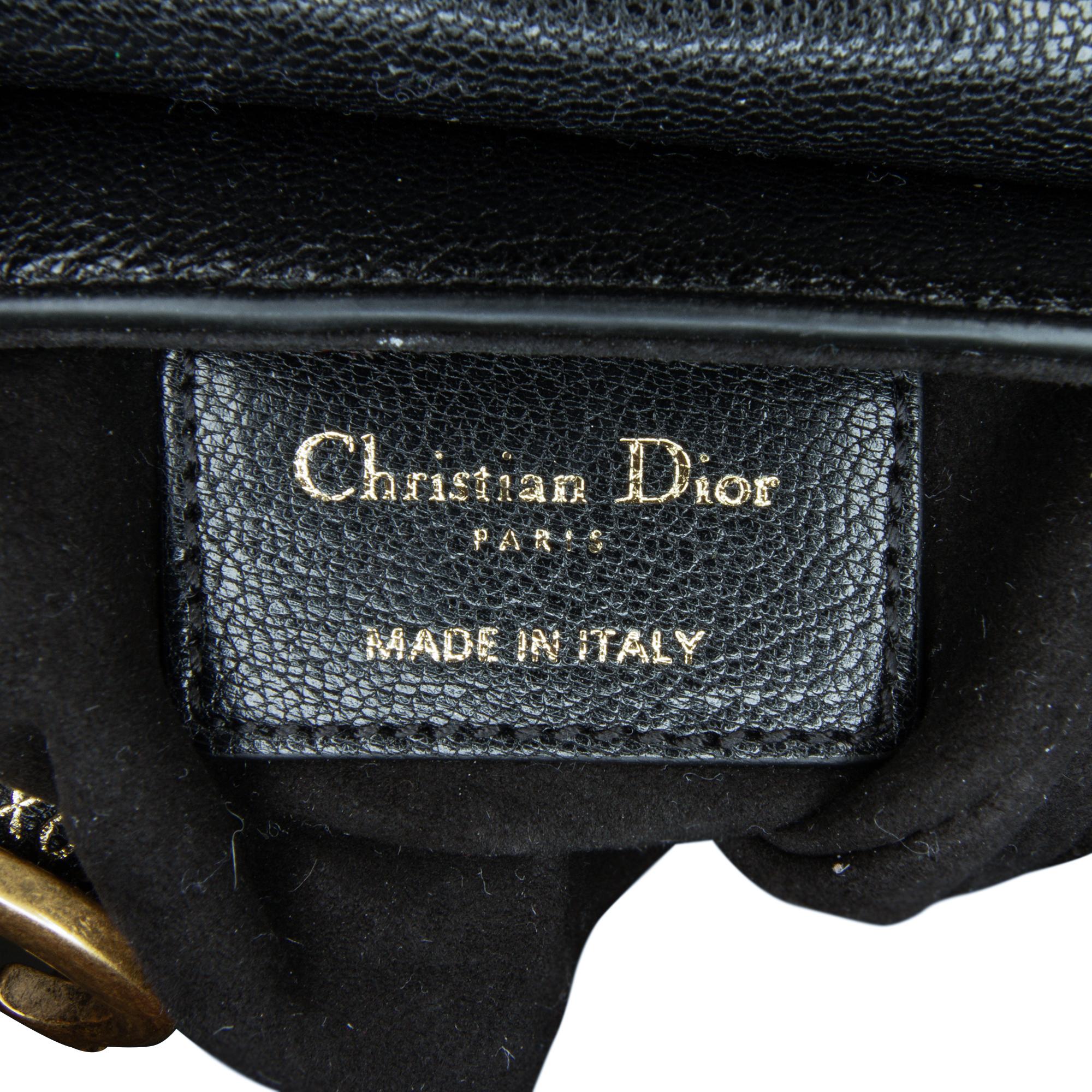 Dior Mini Saddle Baguette (SHG-hEwTgY)