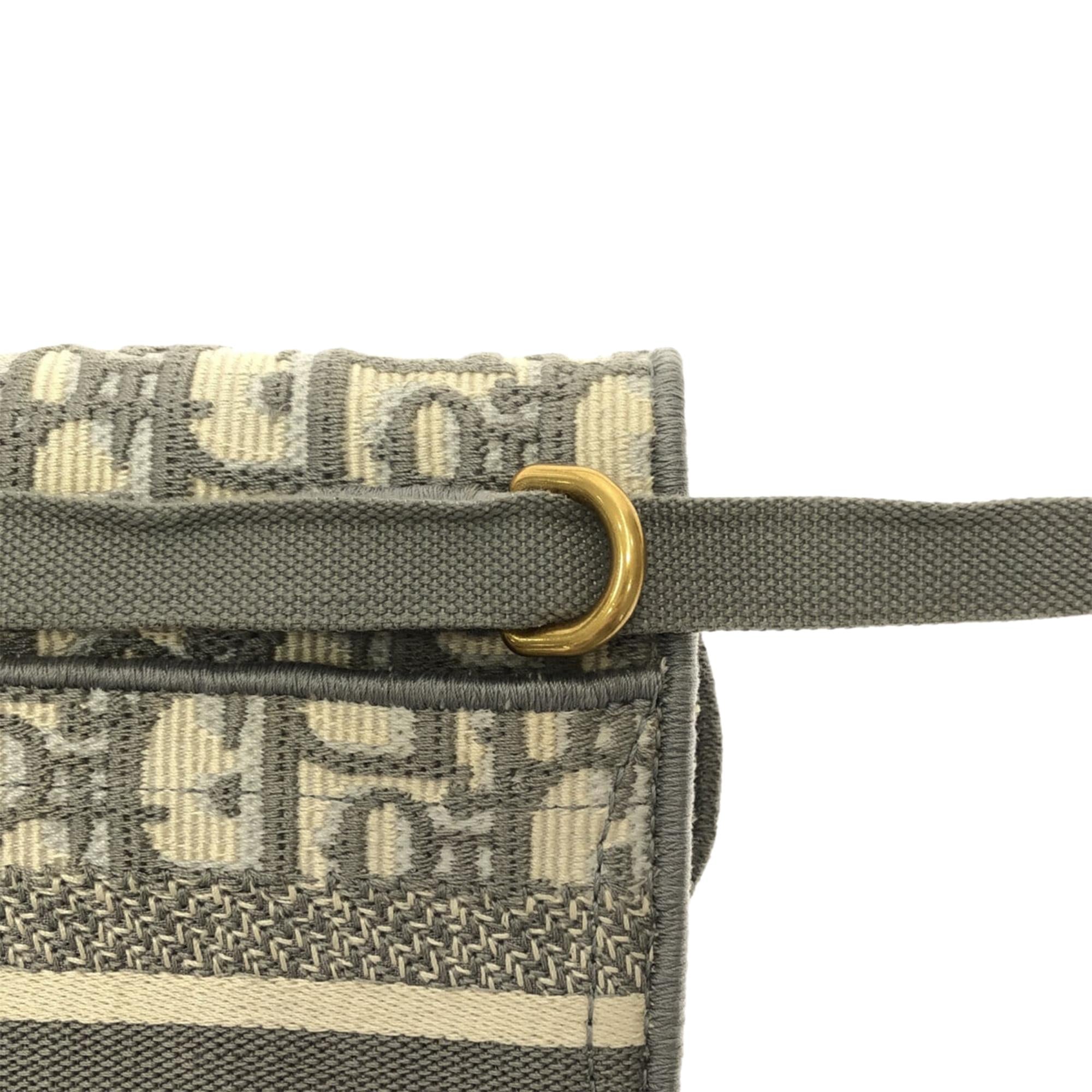 Dior Oblique Saddle Slim Belt Pouch (SHG-Klb07b)