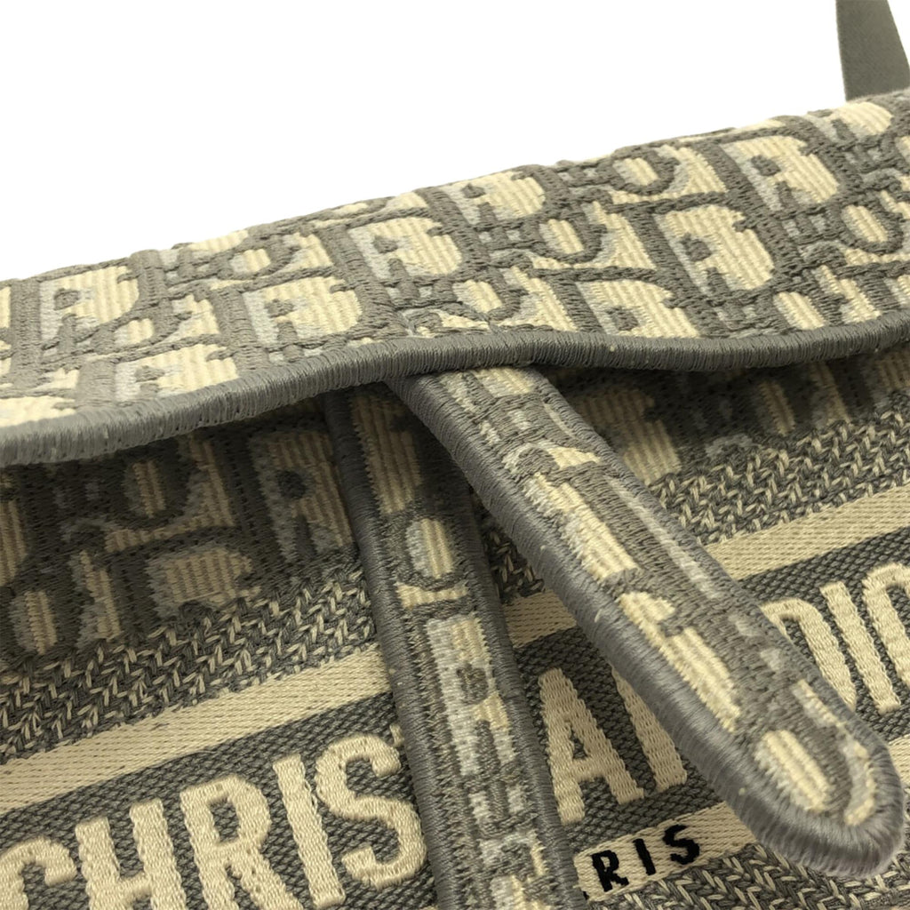 Dior Oblique Saddle Slim Belt Pouch (SHG-Klb07b)