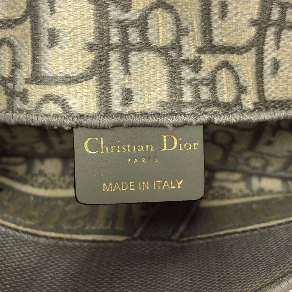 Dior Oblique Saddle Slim Belt Pouch (SHG-Klb07b)