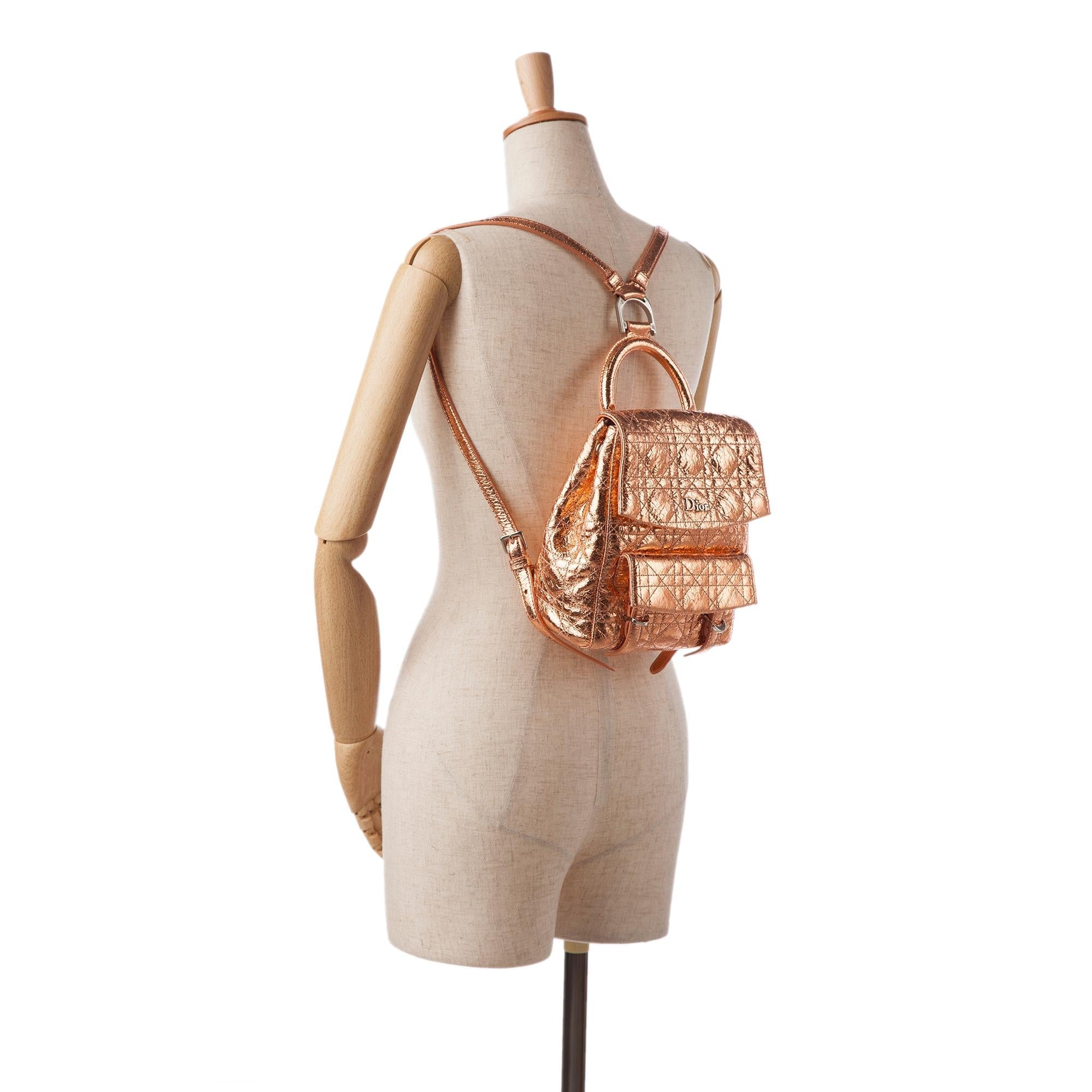 Dior Small Metallic Cannage Stardust Backpack (SHG-Ep0Yhg)