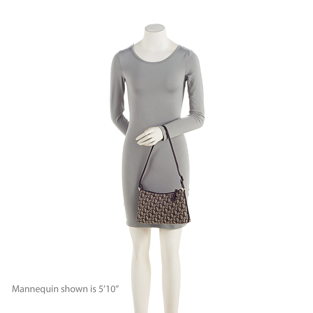 Dior Vintage Trotter Shoulder Bag (SHF-TtSMgB)