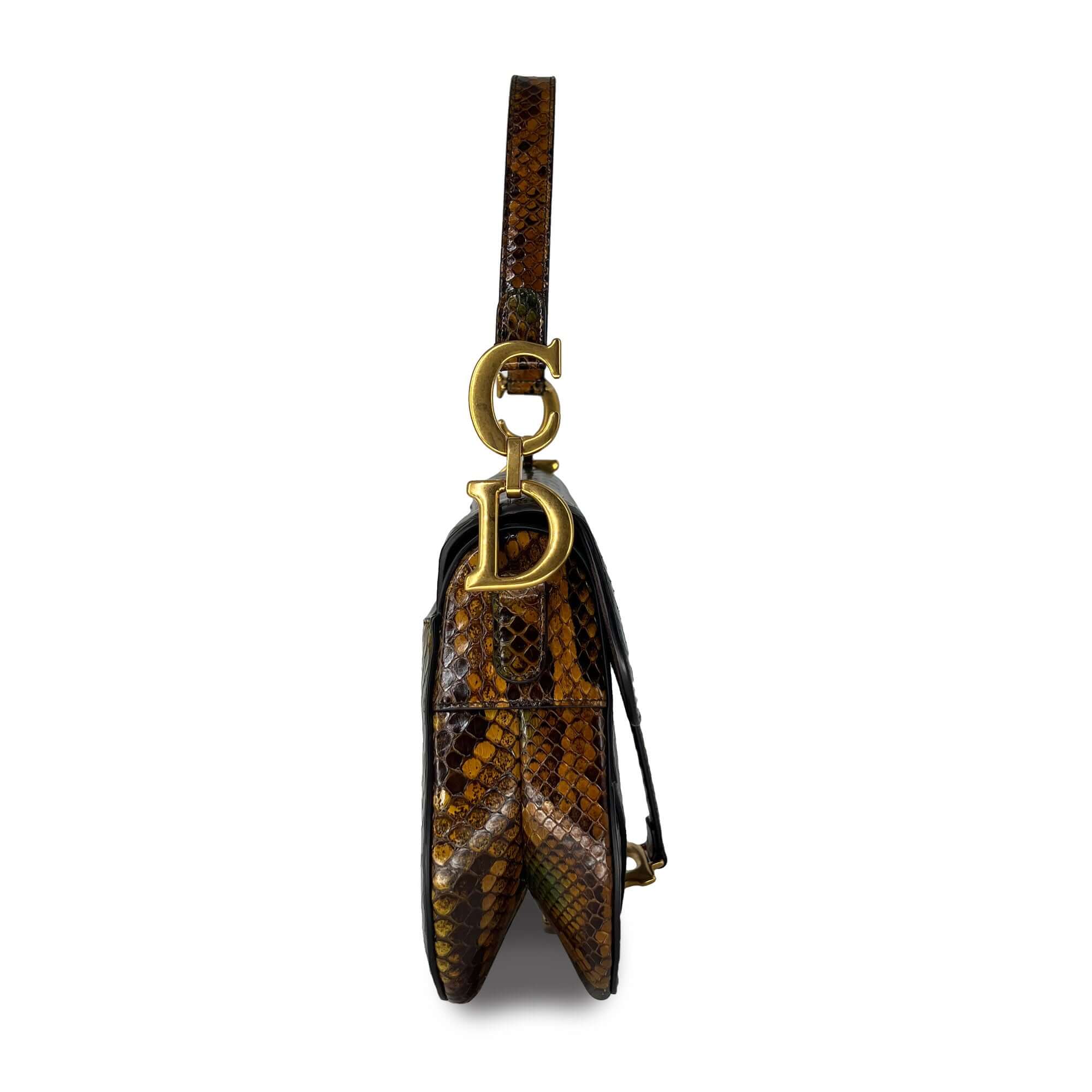 Christian Dior Python saddle bag