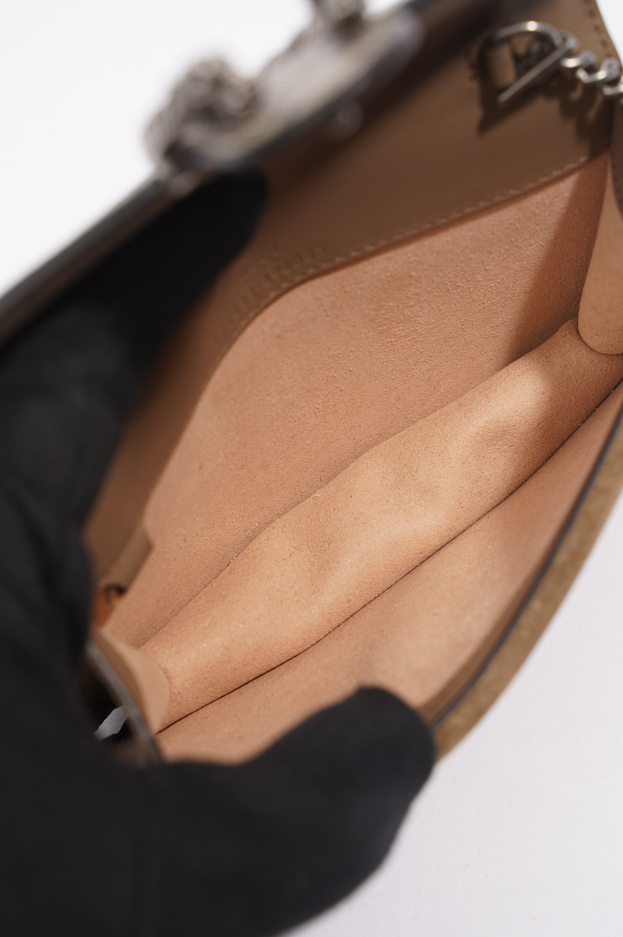 Gucci Dionysus Supreme Canvas Super Mini