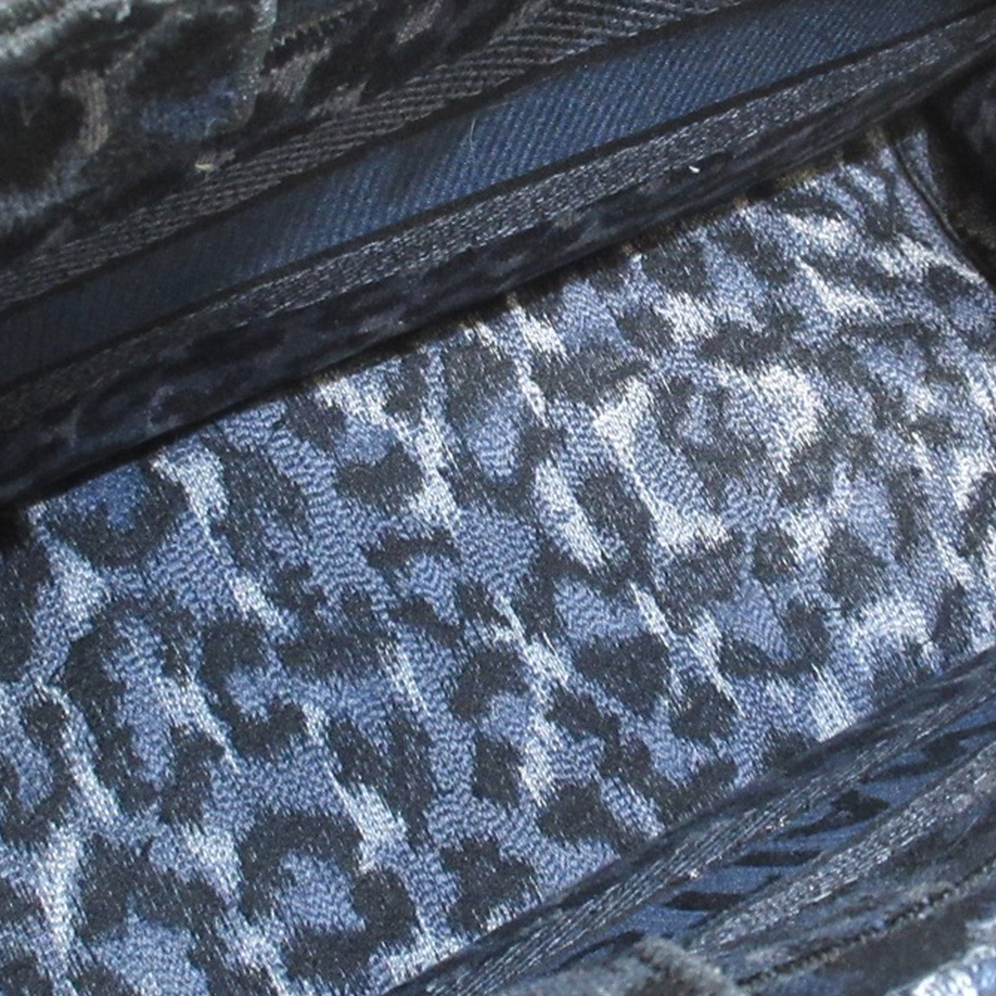 DIOR Medium Leopard Mizza Book Tote Tote Bag