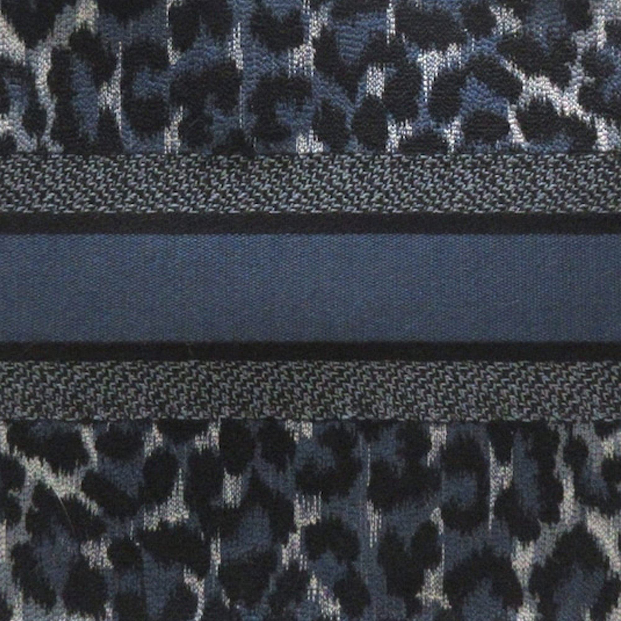 DIOR Medium Leopard Mizza Book Tote Tote Bag