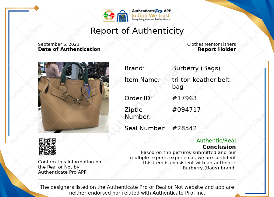 Handbag Luxury Designer By Burberry  Size: Large