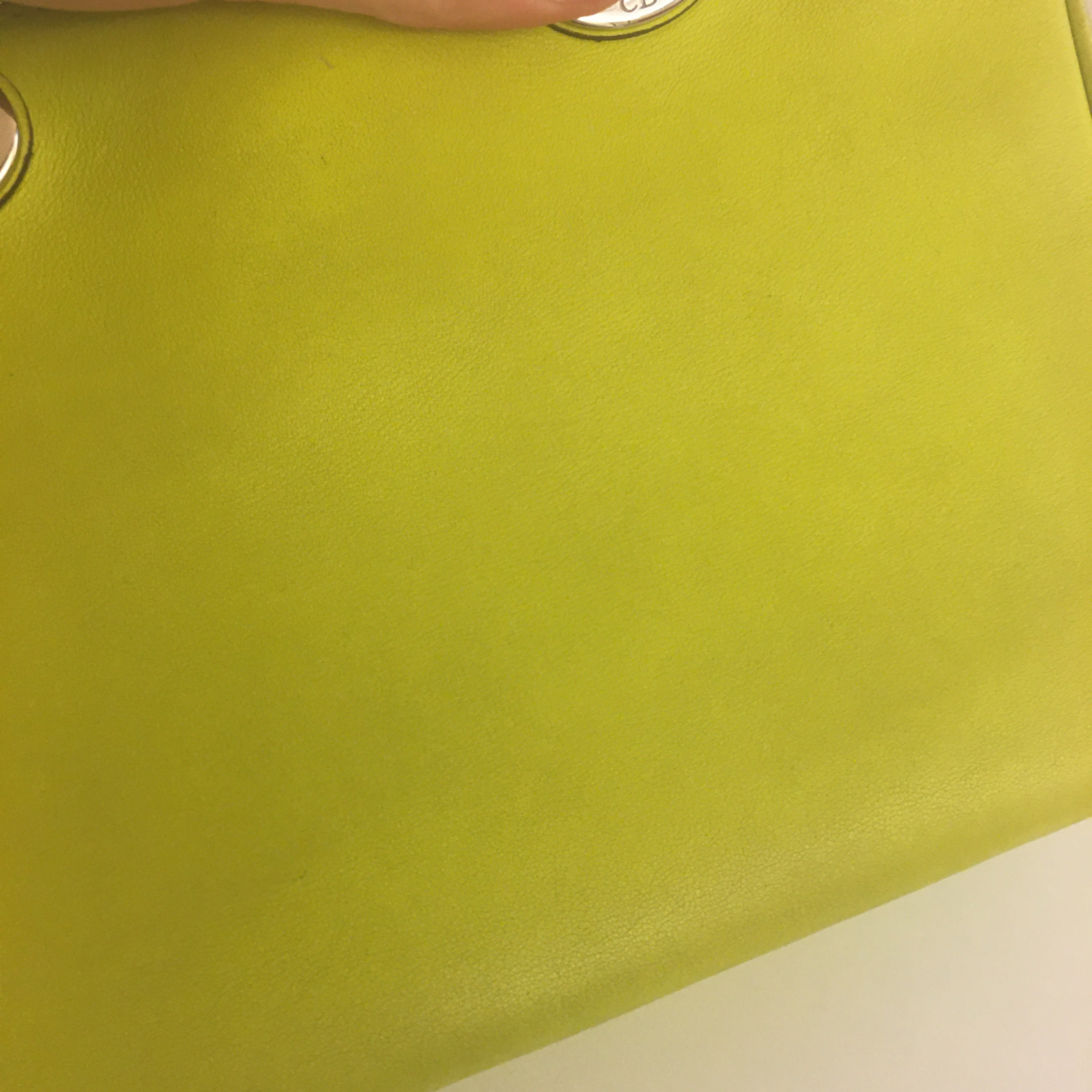 CHRISTIAN DIOR Lady Dior Handbag in Green Leather