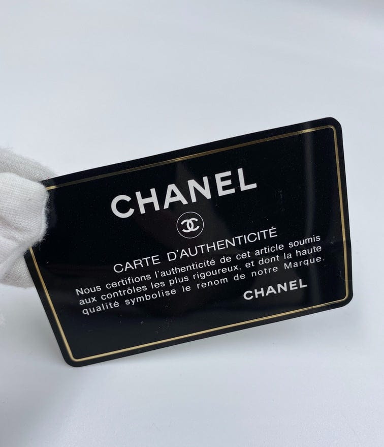 Vintage Chanel Camera Bag