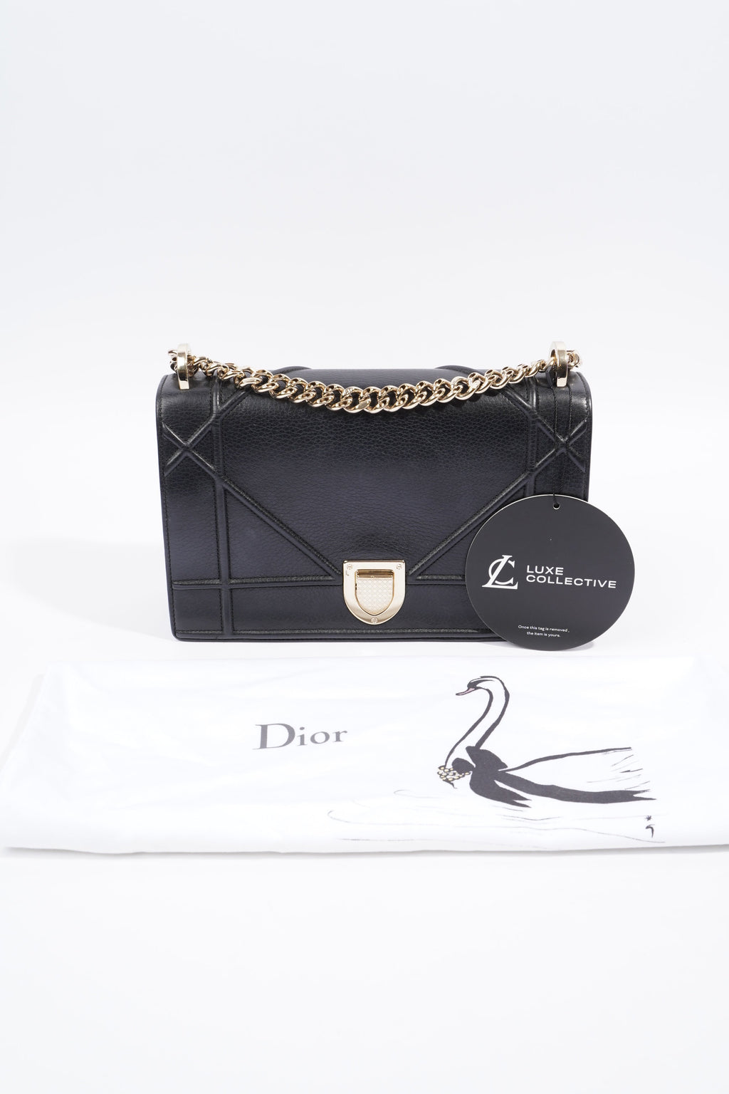 Christian Dior Diorama Black Leather Medium