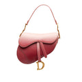 DIOR Ombre Saddle Shoulder Bag