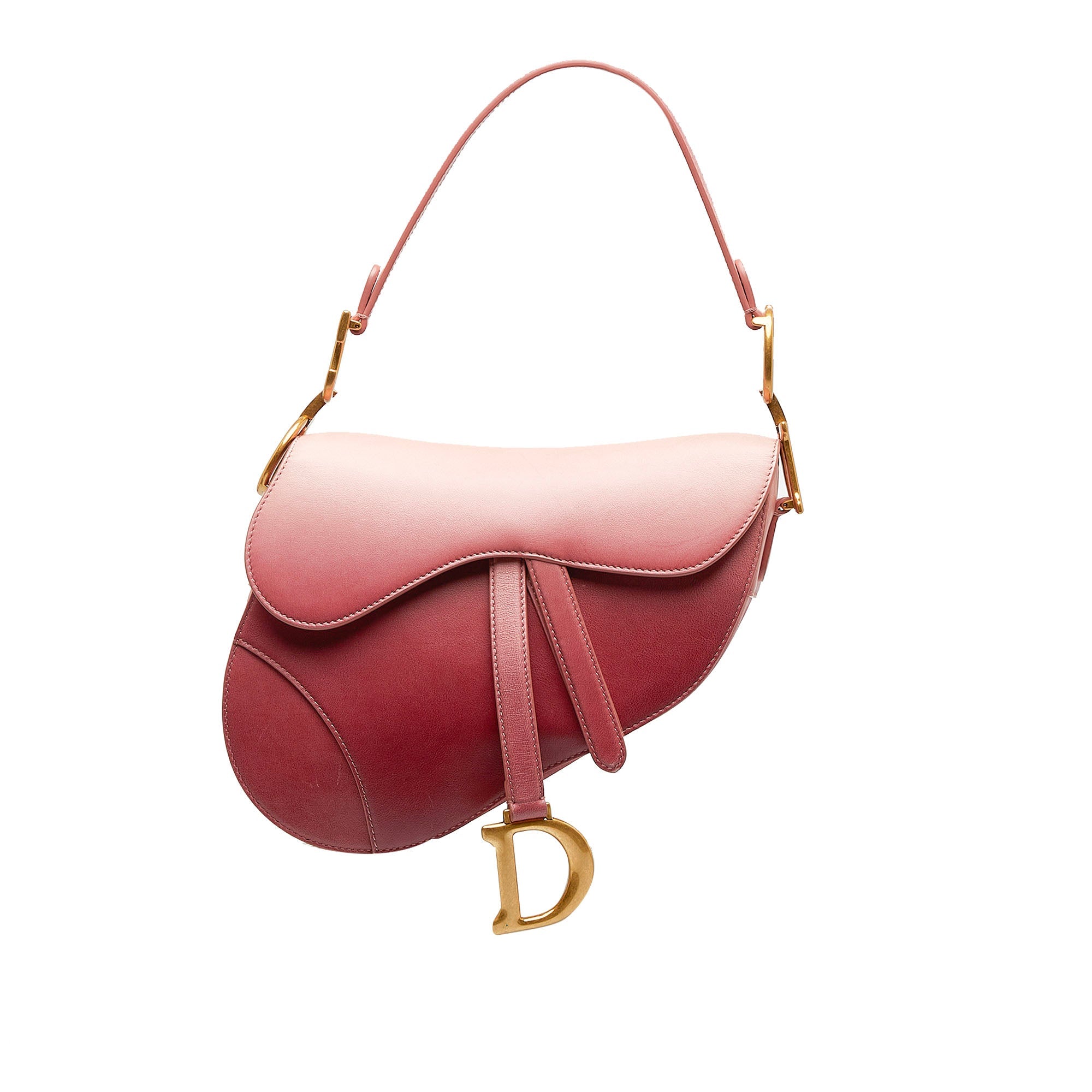 DIOR Ombre Saddle Shoulder Bag