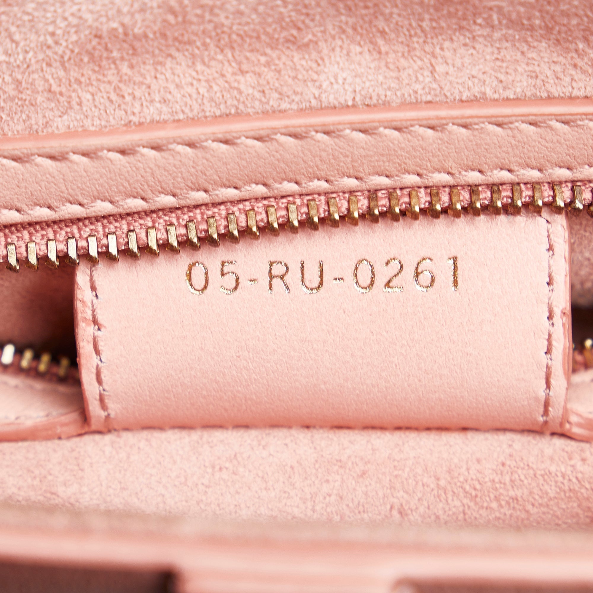 DIOR Ombre Saddle Shoulder Bag