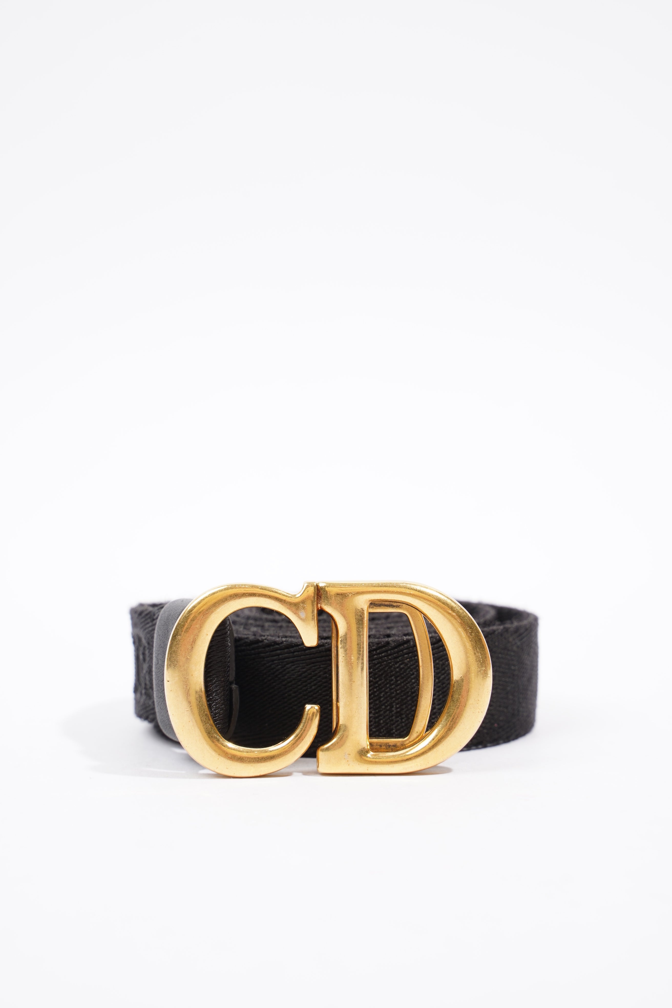 Christian Dior Saddle Belt Bag Nude Leather