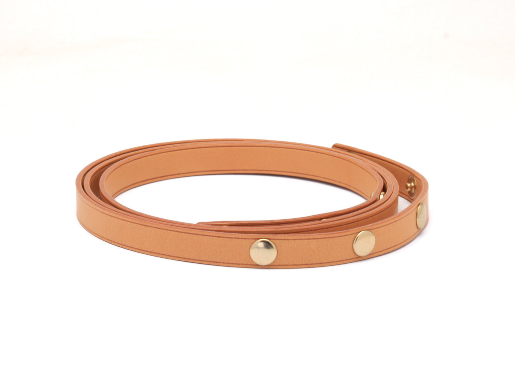 Louis Vuitton Florentine Strap