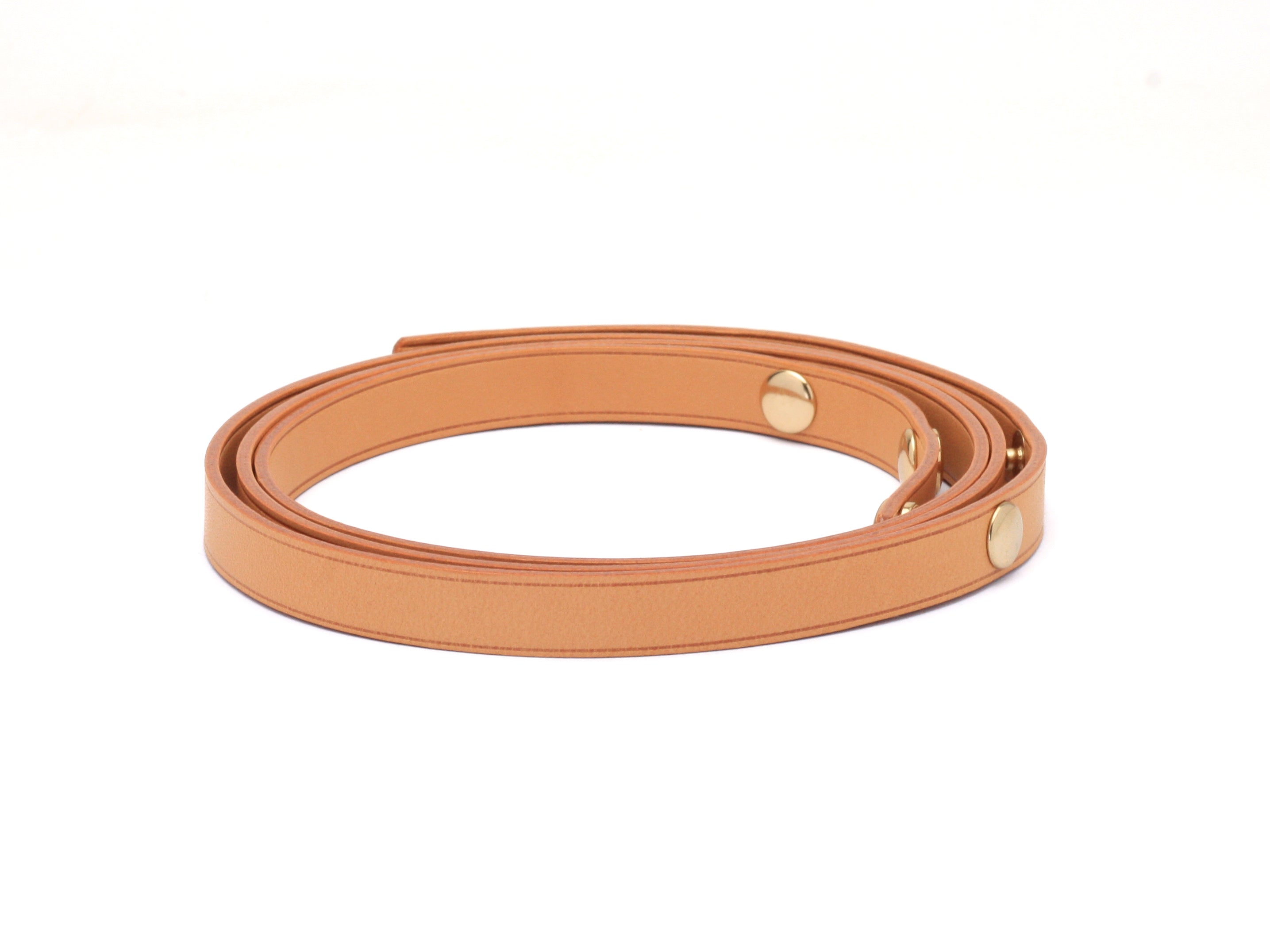 Louis Vuitton Florentine Strap