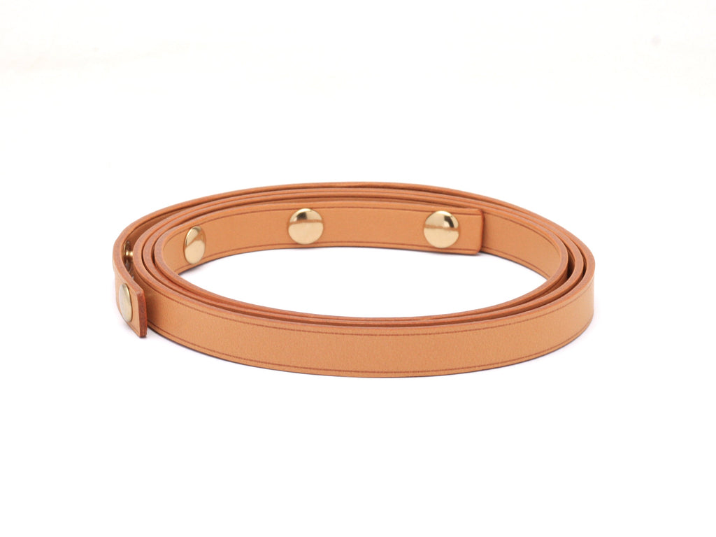 Louis Vuitton Florentine Strap