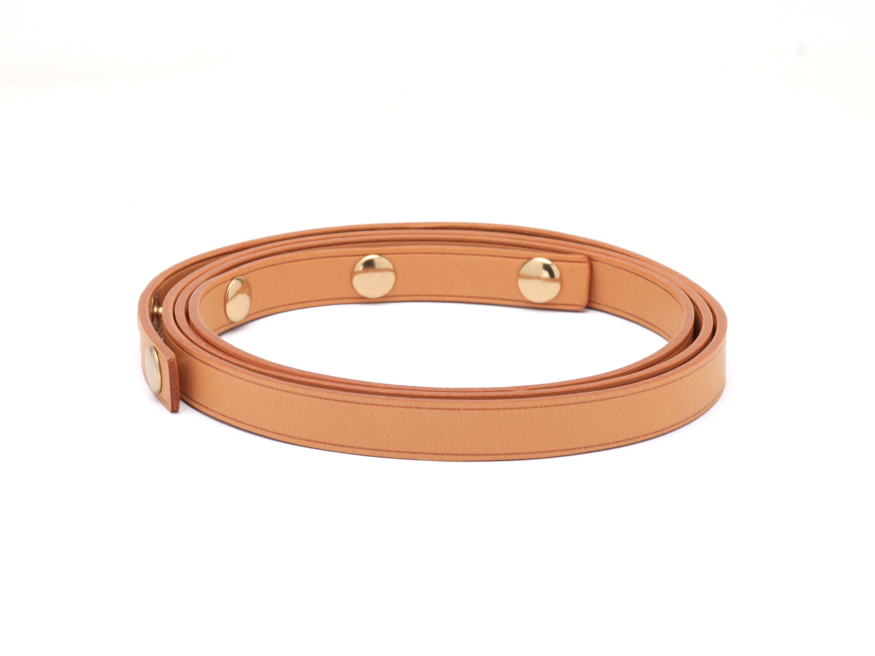 Louis Vuitton Florentine Strap