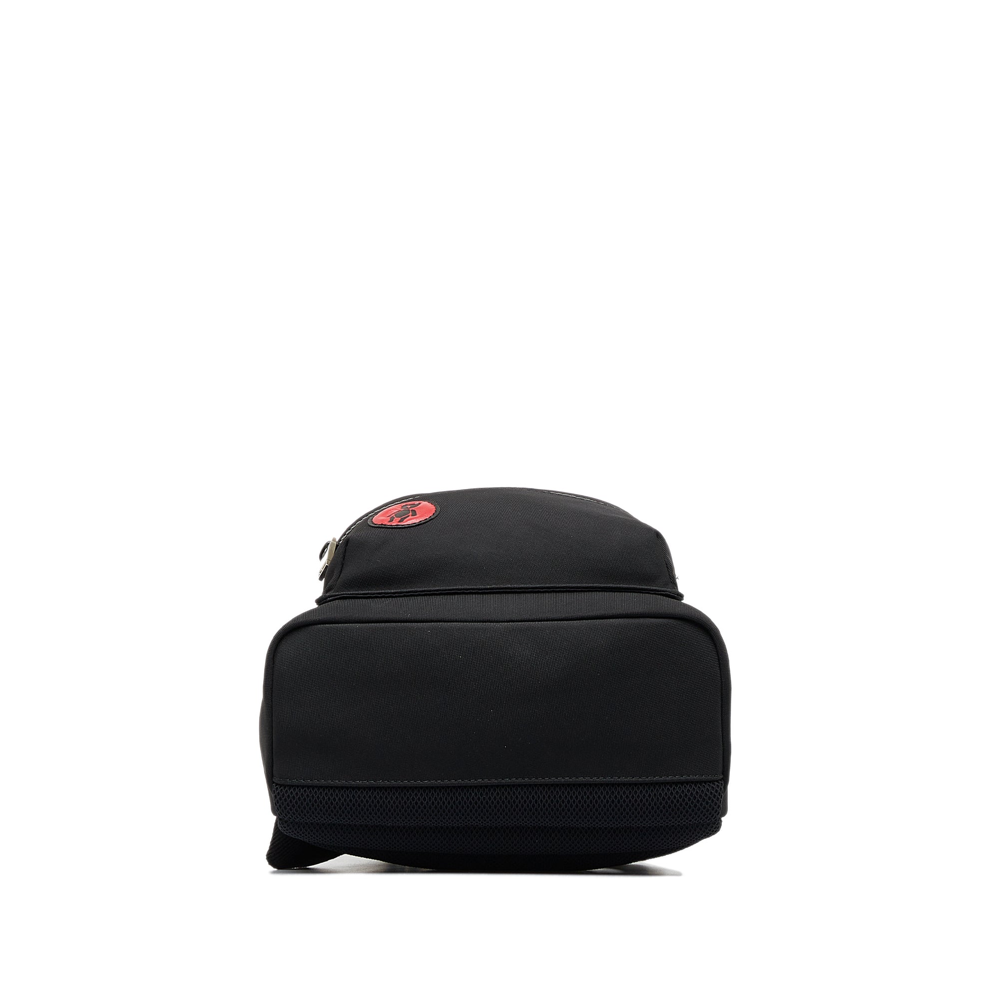 DIOR Patch Nylon Backpack