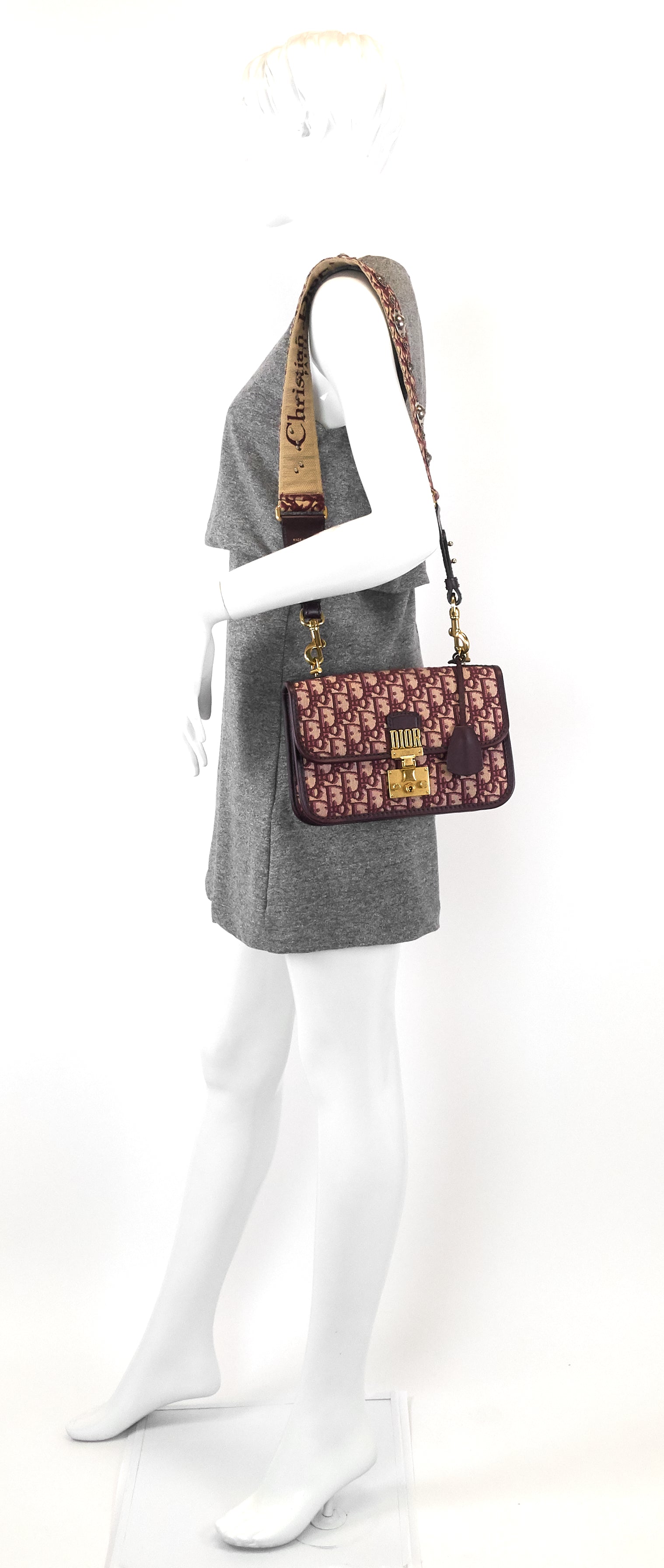 DiorAddict Medium Oblique Monogram Canvas Bag