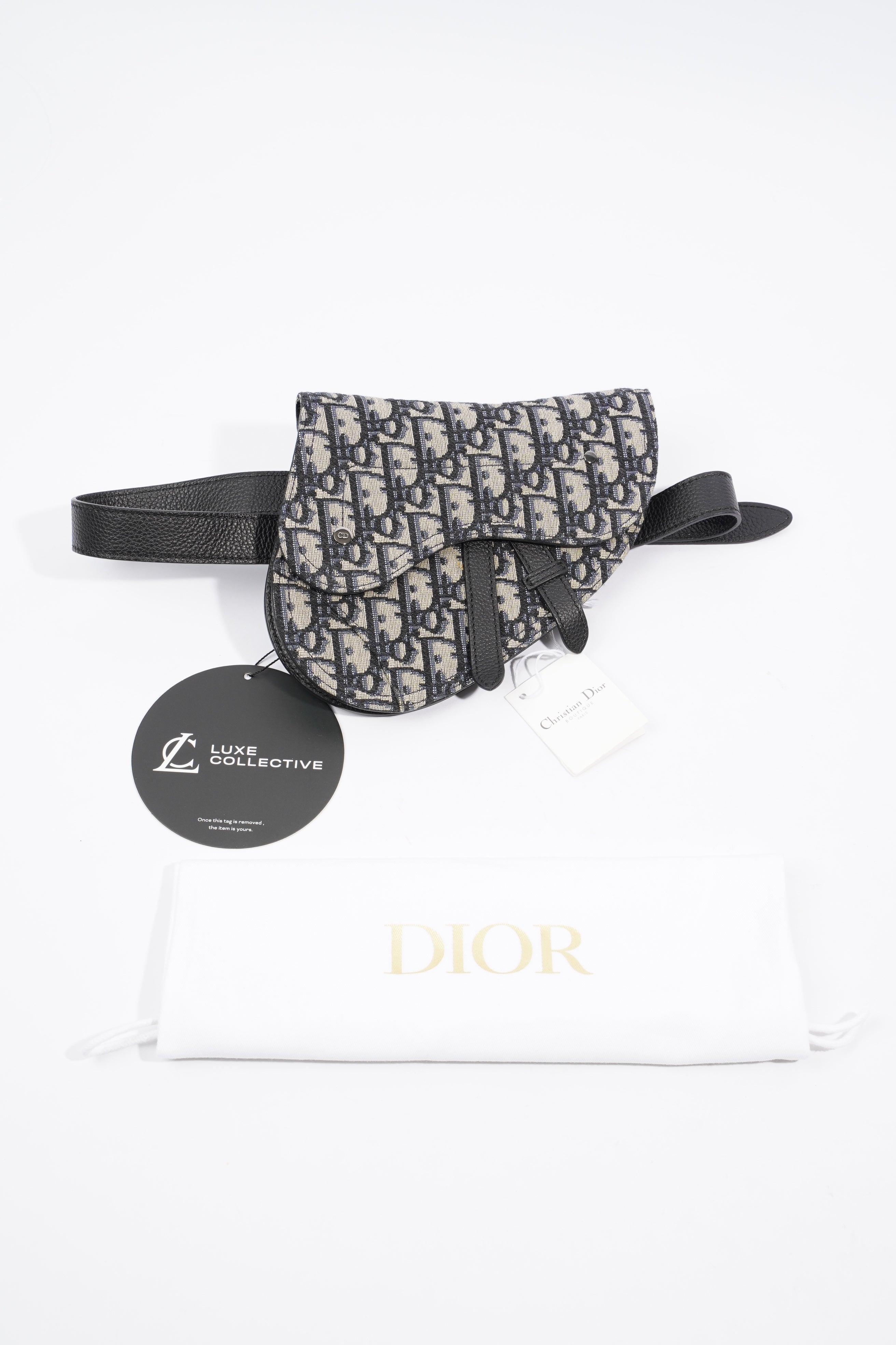 Christian Dior Saddle Belt Bag Oblique Canvas Mini