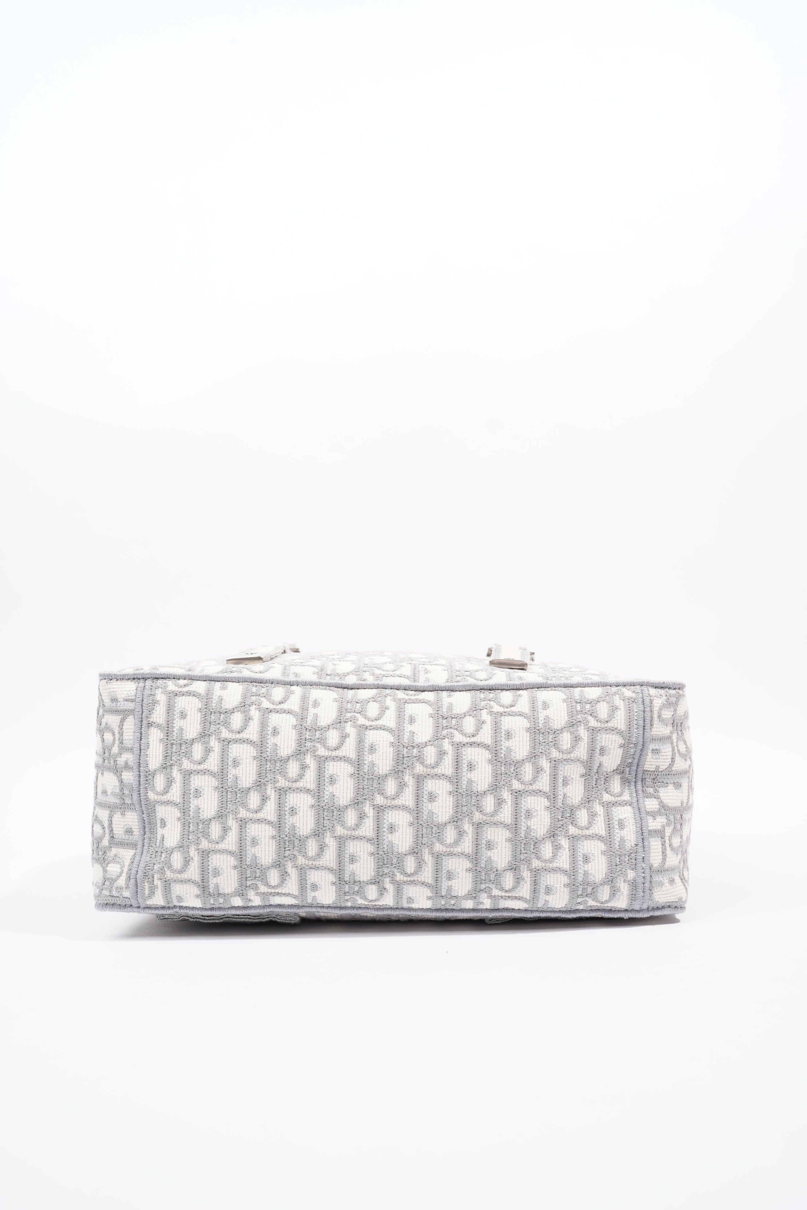 Christian Dior Diorcamp Grey / Silver Oblique Embroidery Canvas