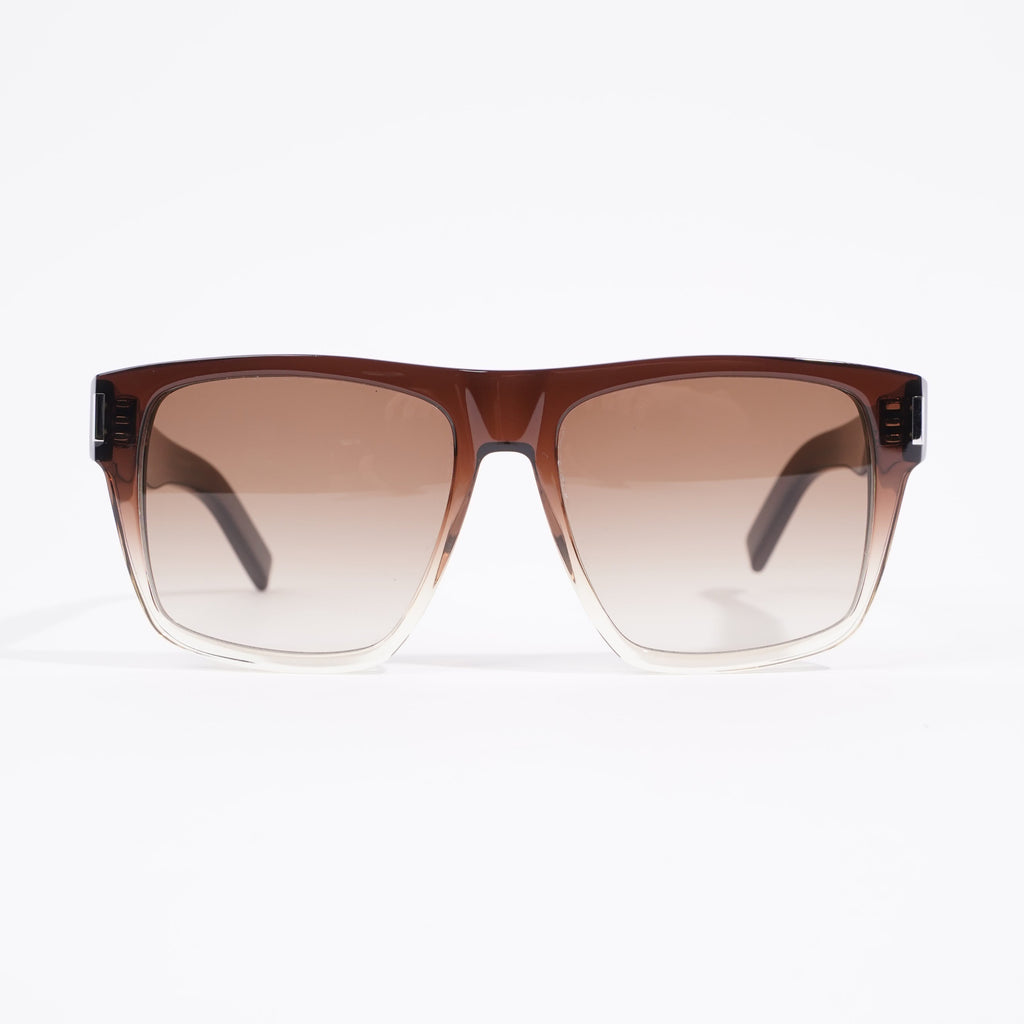 Saint Laurent SL 424 Sunglasses Havana Acetate 145mm