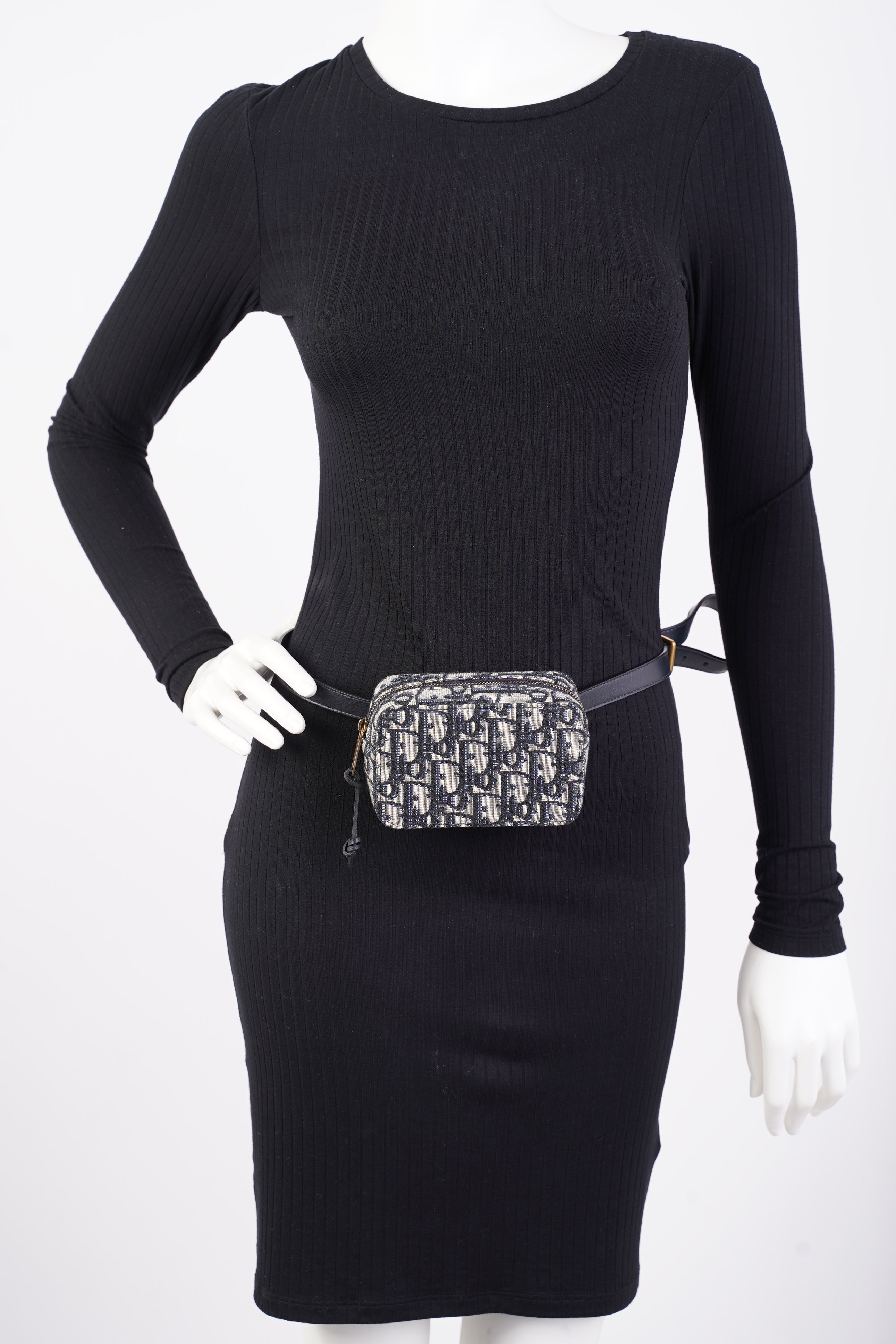 Christian Dior Belt Pouch Oblique Canvas