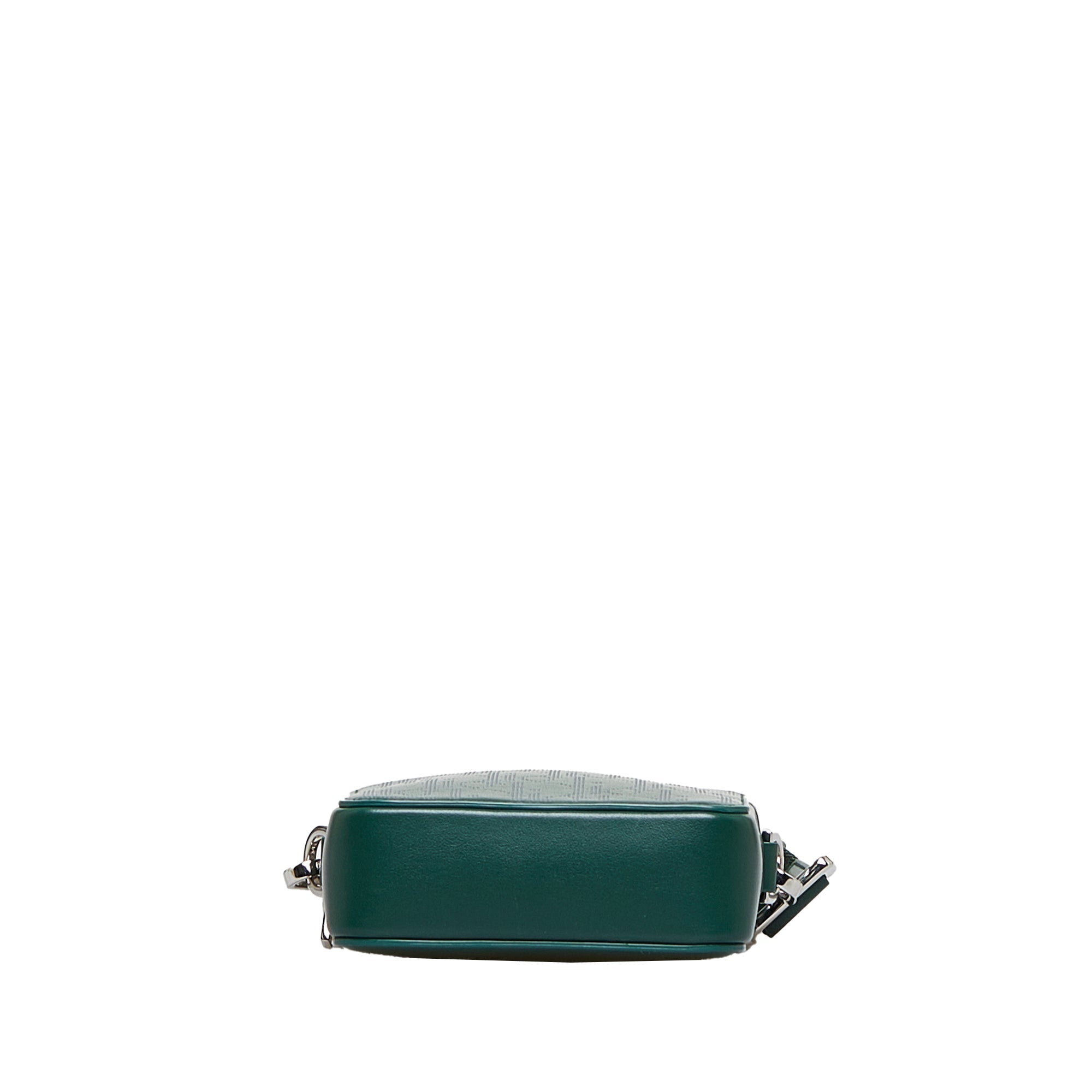 Dior World Tour Green Oblique Canvas