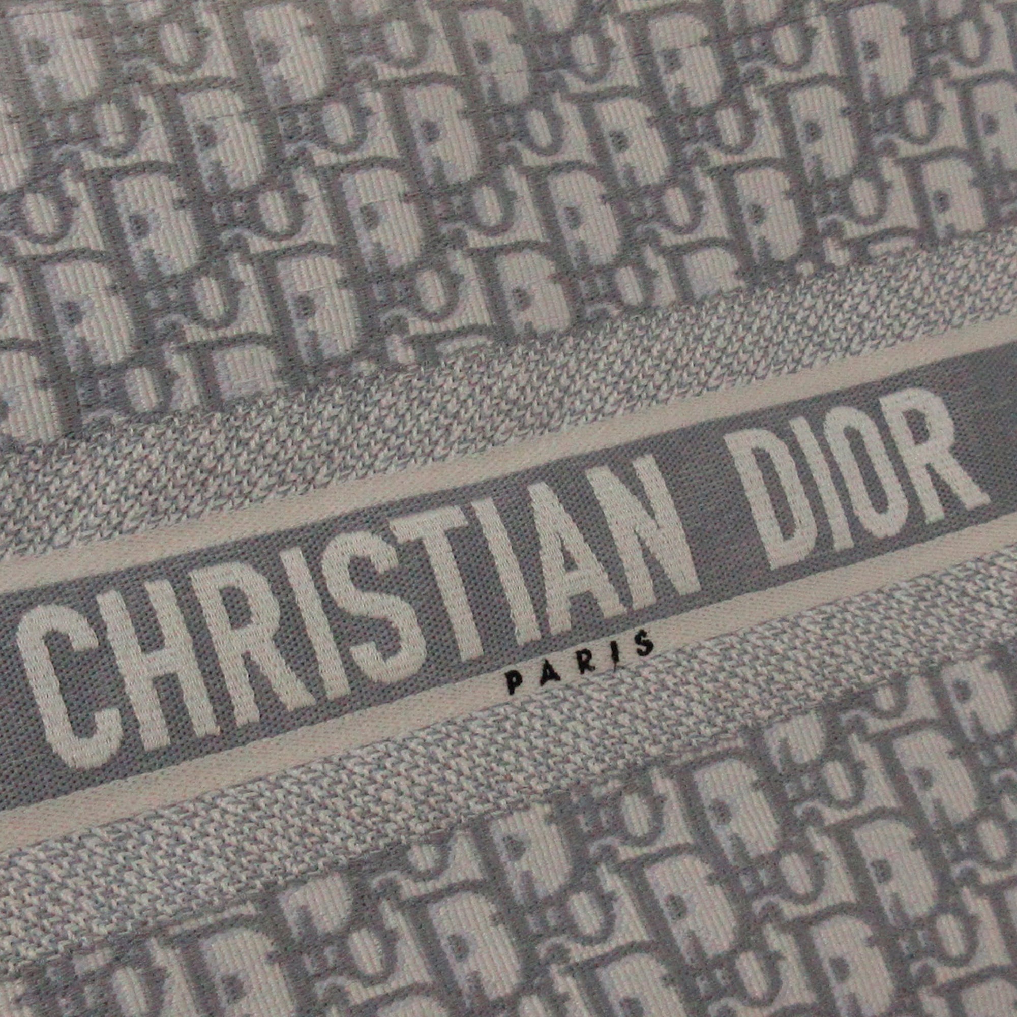 DIOR Medium Oblique Book Tote Tote Bag