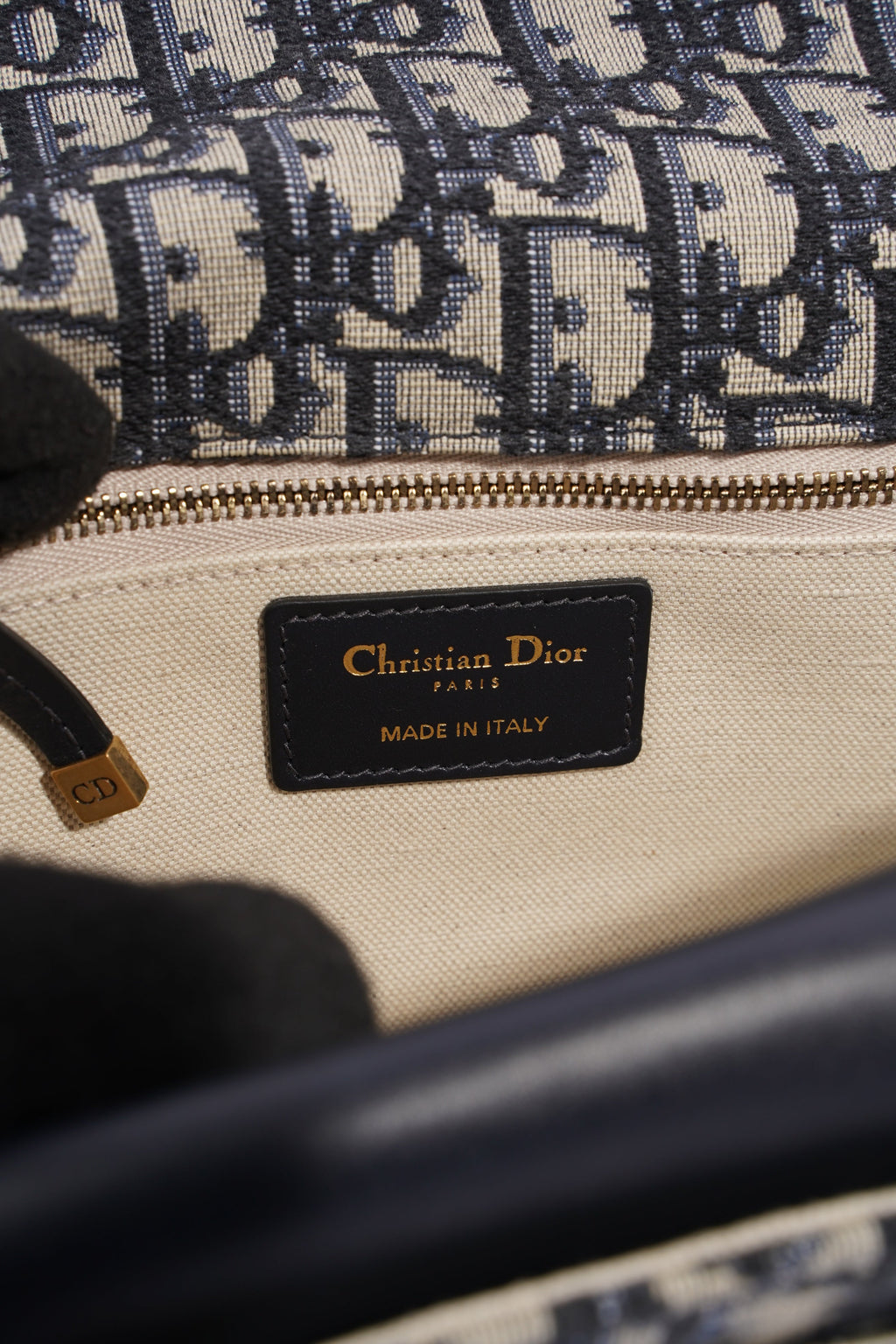 Christian Dior Addict Bag Oblique Canvas Medium