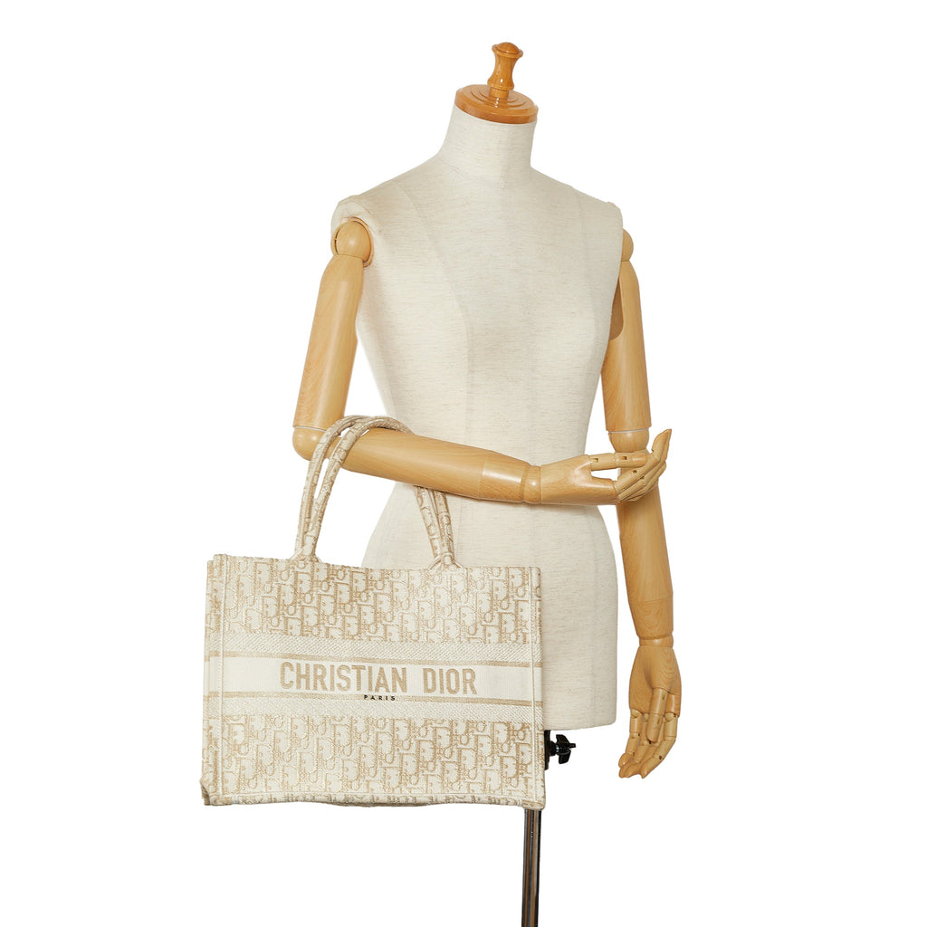 DIOR Medium Oblique Book Tote Tote Bag