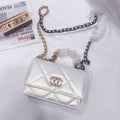 Designer Handbags Chanel 204