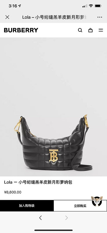 Burberry Bags - BG Bags - 783
