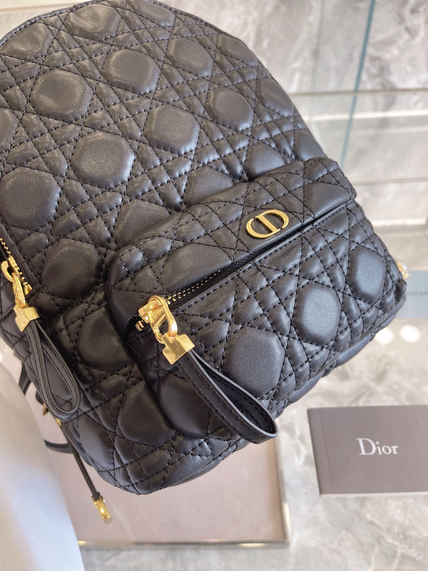Luxury Handbags Christian Dior 327