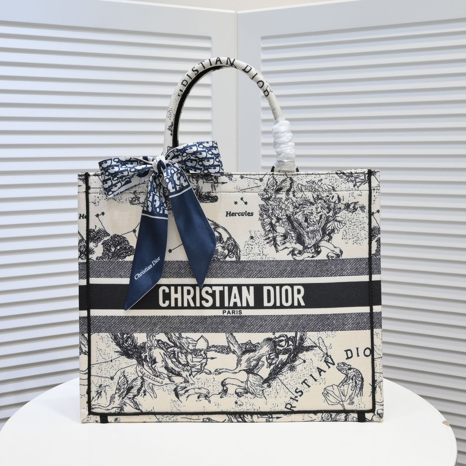 Designer Handbags dior 296