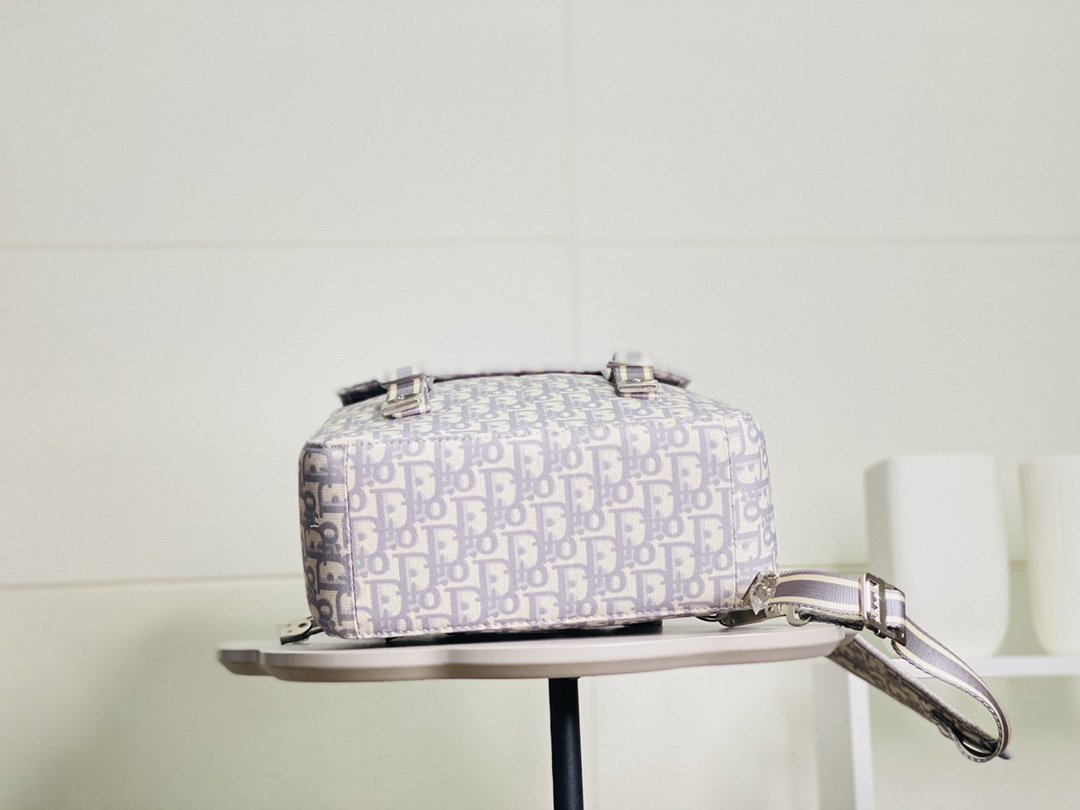 Luxury Handbags Christian Dior 122
