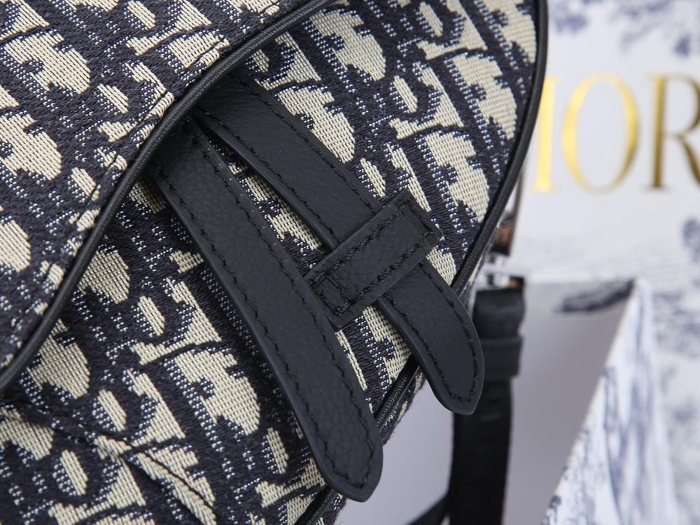 Designer Handbags dior 100
