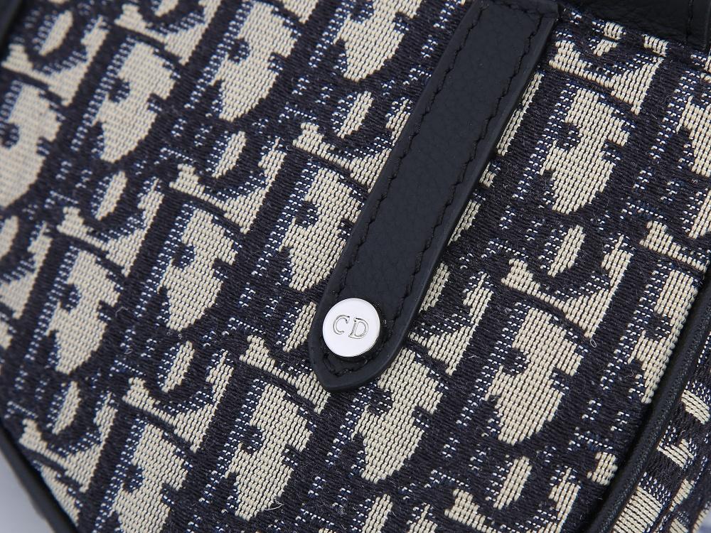 Designer Handbags dior 100
