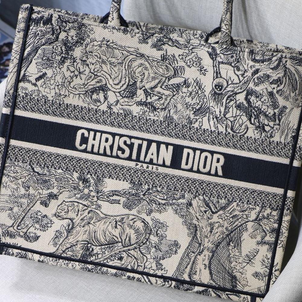 DIOR BOOK TOTE