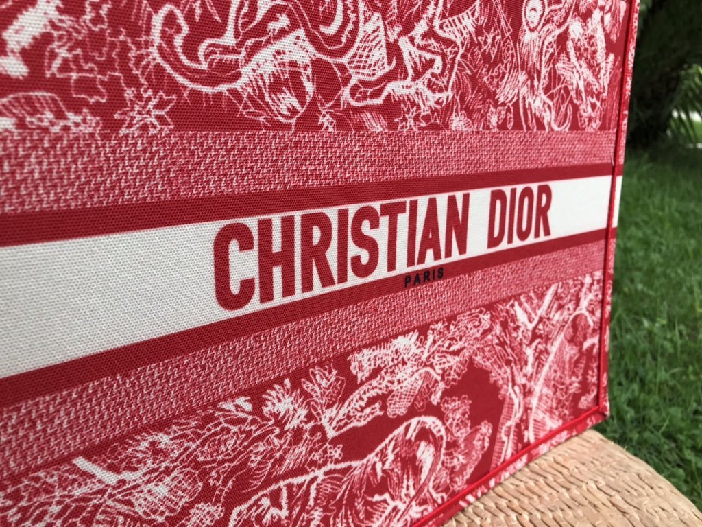 Designer Handbags dior 250
