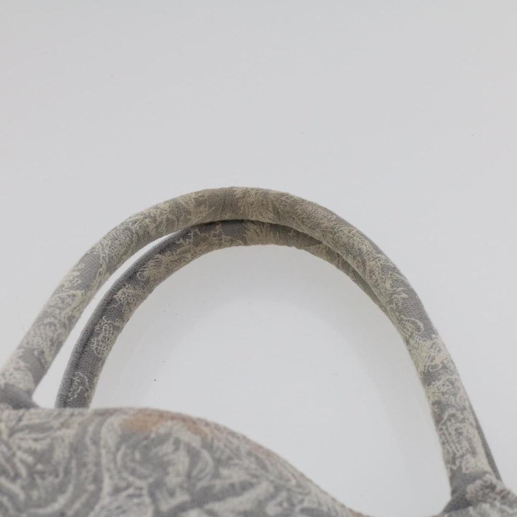 CHRISTIAN DIOR Book Tote Bag Canvas Gray M1286ZTDT_M932 Auth bs6141