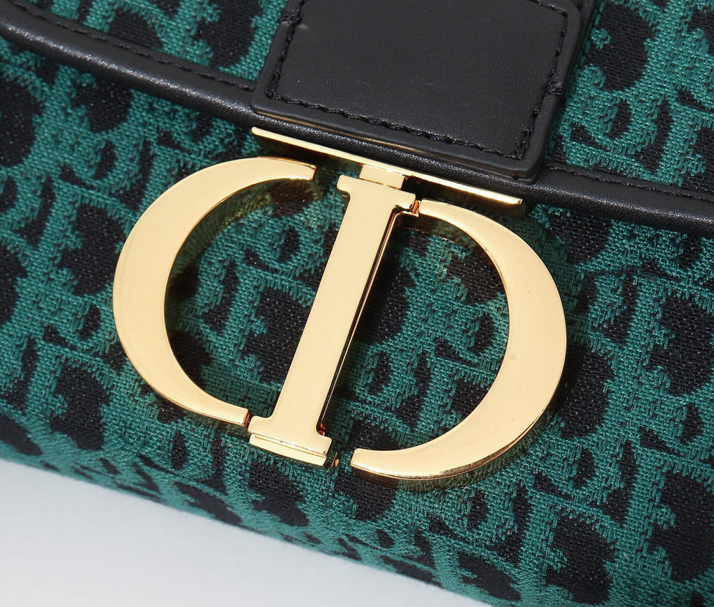 Luxury Handbags Christian Dior 172