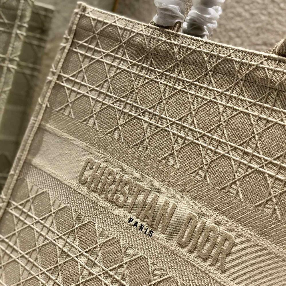 DIOR BOOK TOTE