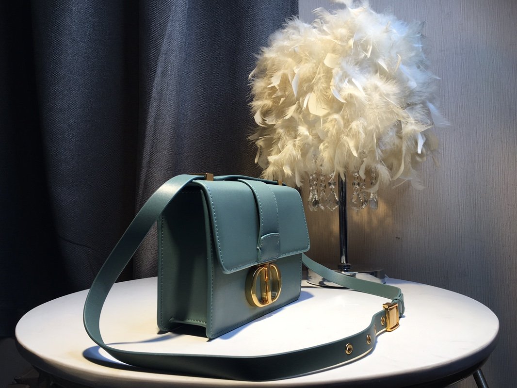Designer Handbags dior 239