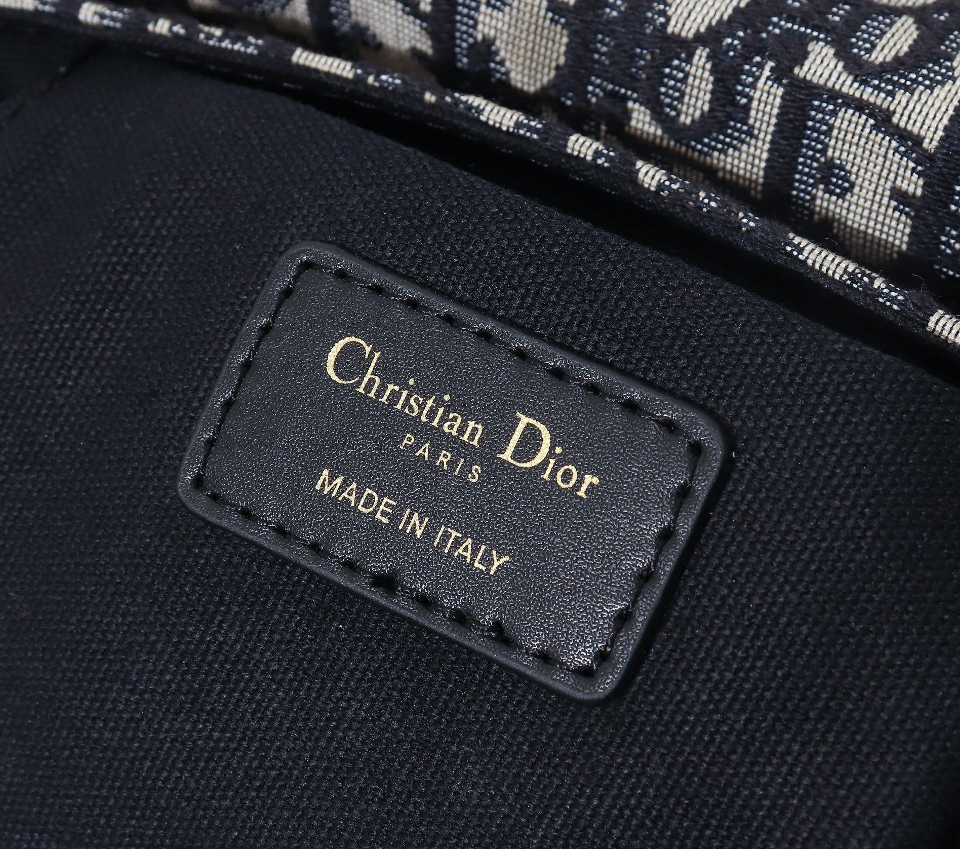 Luxury Handbags Christian Dior 173