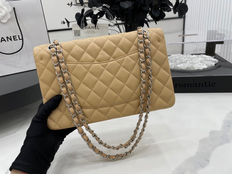 Chanel Bags - BG Bags - 2529